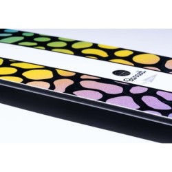 2026 GNU BARRETT 149 | women snowboards