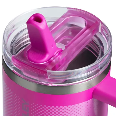 STANLEY The Quencher Protour Flip Straw Tumbler 0.6L / 20oz Violet Blossom Fade