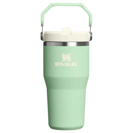 STANLEY The IceFlow™ Flip Straw 2.0 Tumbler 0.6L / 20oz Pistachio