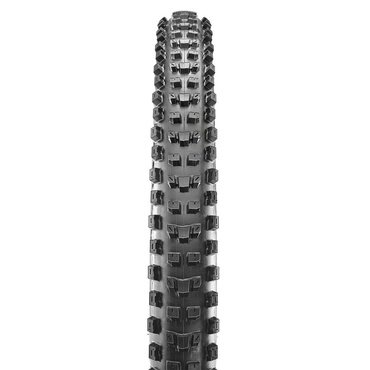 MAXXIS DISSECTOR 29X2.40 | 3C MAXX TERRA/EXO/Tubless Ready | Bike tire